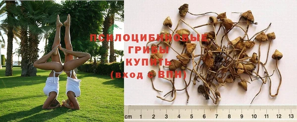 МДМА Кулебаки