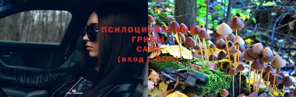 индика Лагань